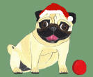 (HA18) - Holiday Fawn Pug Red Ball