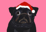 (HA50) - Holiday Black Pug