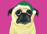 (HA71) - Holiday Senior Fawn Pug