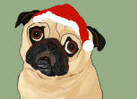 (HA92) - Holiday Fawn Pug