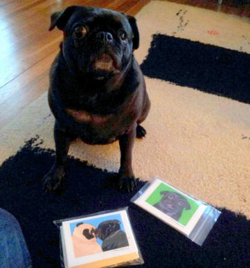Scarlet loves her new note cards ~ pug designs A85 & A86