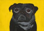 (A88) Black Pug with Yellow bkg