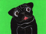 (A27) Black Pug with green background