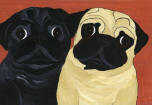 (A38) Fawn & Black Pugs with terracotta background