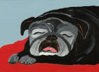 (A93) Sleeping Black Pug