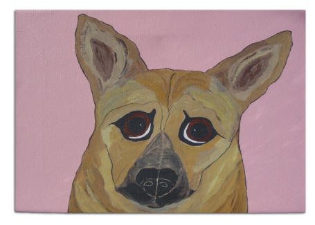 Canvas Transfer - Dutch Shepherd