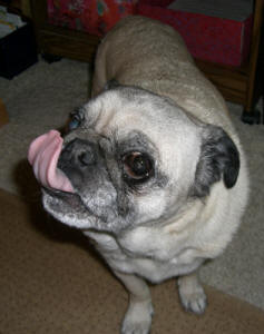 Emmitt thinks the serving bowls are good to the last drop!